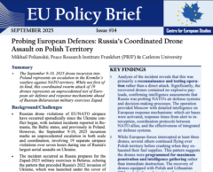 Snip image of page 1 of EU Policy Brief #14 'Probing European Defences'